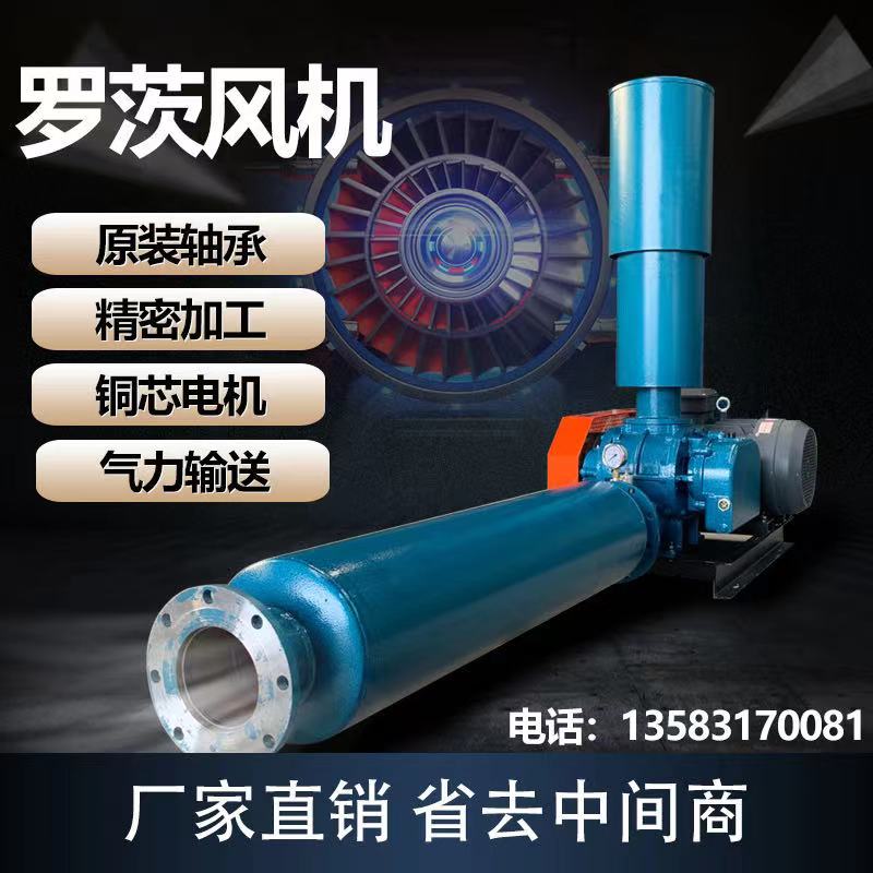 如何修理羅茨鼓風(fēng)機(jī)？